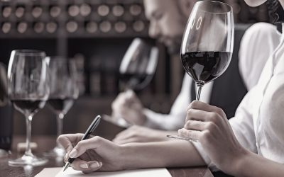 Cómo catar un vino (de verdad): claves para entender lo que hay en la copa